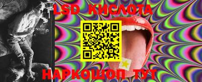 ALPHA PVP Новозыбков
