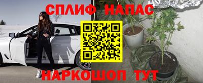 винт Новокубанск