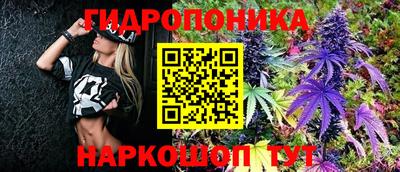 ALPHA PVP Новозыбков