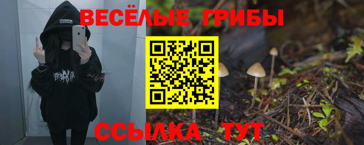 Галлюциногенные грибы Psilocybine cubensis  Вход с VPN  Фурманов 