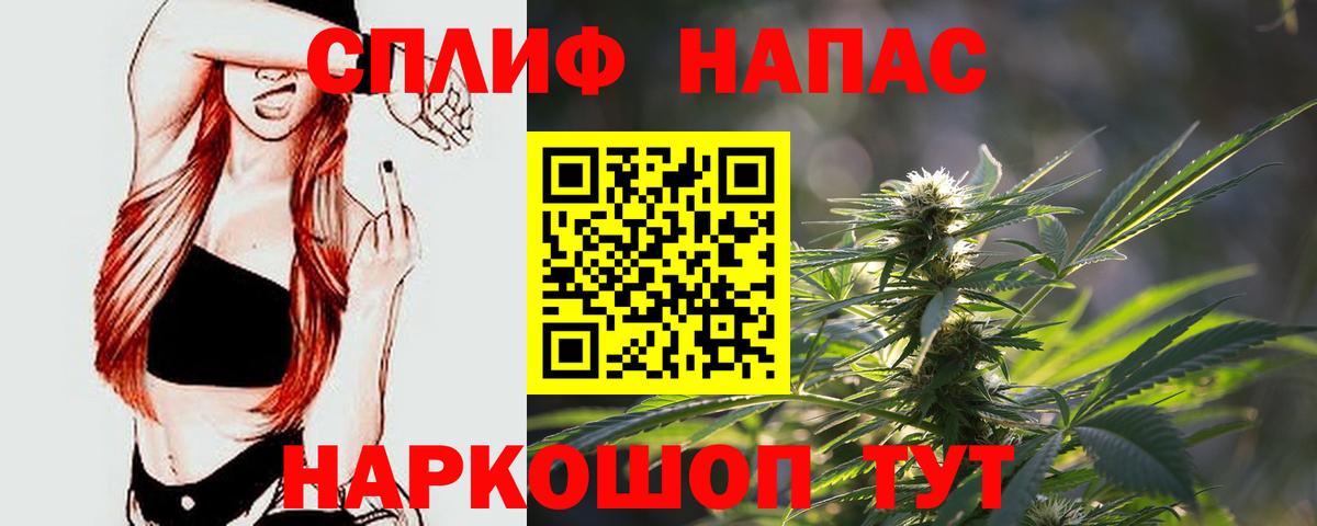 Бошки Шишки план Фурманов